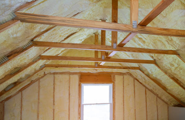 Best DIY Insulation Kits and Guidance in Sebastopol, CA