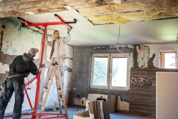 Best Geographic-Specific Insulation Services in Sebastopol, CA