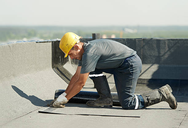 Best Cellulose Insulation in Sebastopol, CA