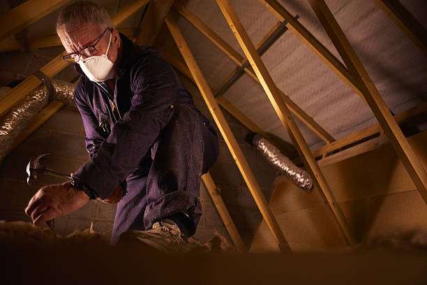 Best Eco-Friendly Insulation in Sebastopol, CA